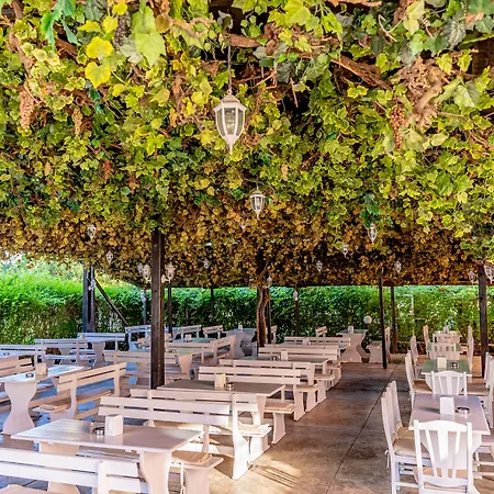 Hotel Izola Paradise