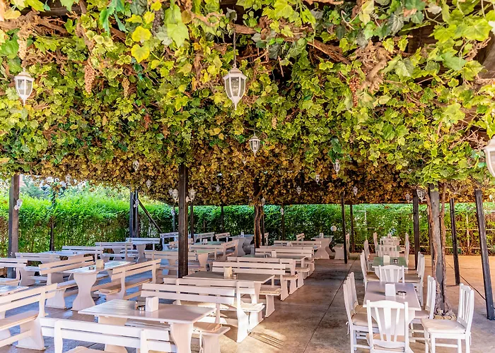 Hotel Izola Paradise -